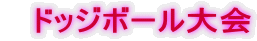 　ドッジボール大会